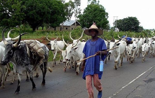 Fulani Herdsmen