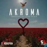 Strongman – Akroma