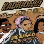 Sho Madjozi – Kadigong Remix Ft. Tiwa Savage, Zeze Kingston, Ntando yamahlubi, Exclusive Drumz, Tee Jay & Gemini major